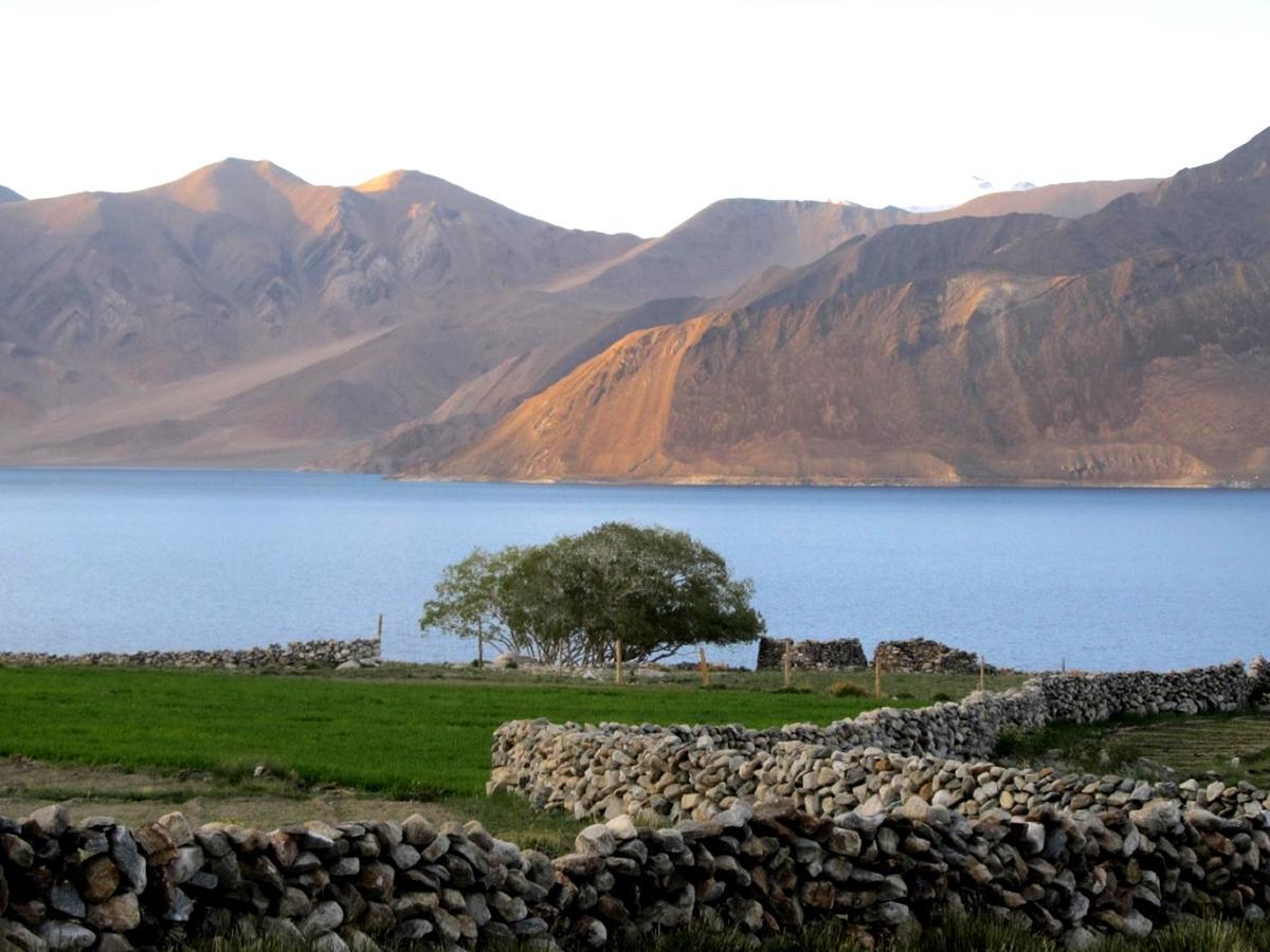 Pangong Delight Camps And Cottages Spangmik المظهر الخارجي الصورة
