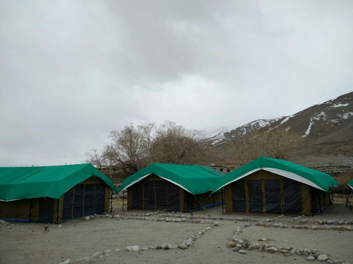 Pangong Delight Camps And Cottages Spangmik المظهر الخارجي الصورة